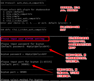 KCPTUN for SS/SSR 一键脚本